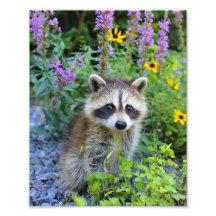 Impression délicate