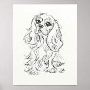 Impression d'épaniers Cavalier King dessin
