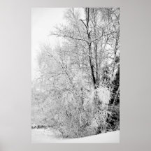 Impression des blancs d'hiver