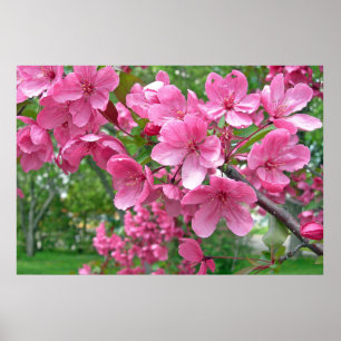 Impression des fleurs roses