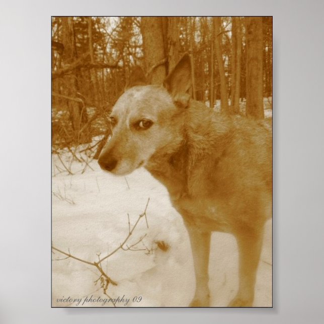 Impression des yeux mal (Devant)