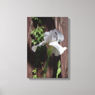 Impression designer Iris blanc
