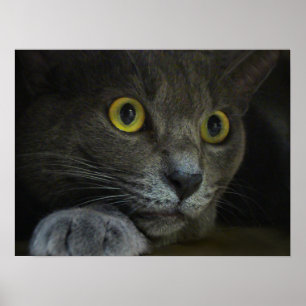 Impression d'intensité