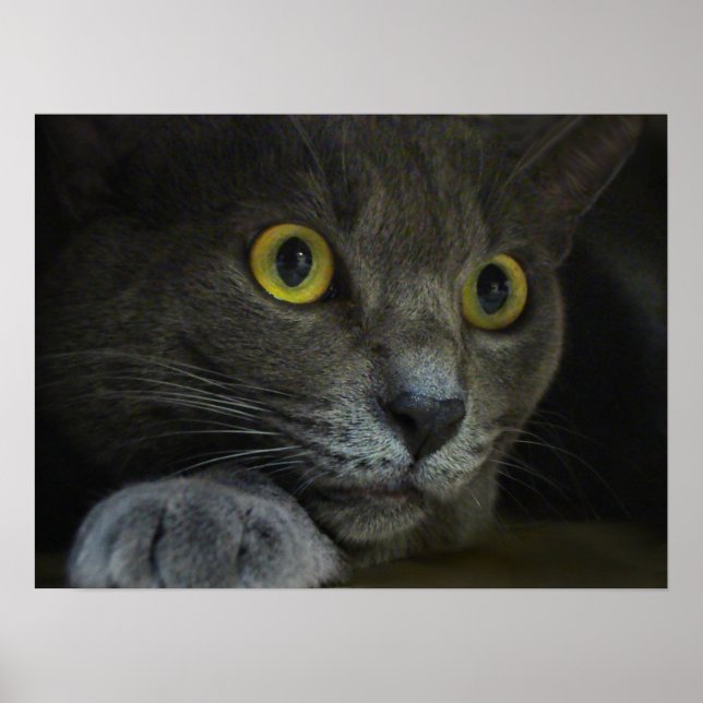 Impression d'intensité (Devant)