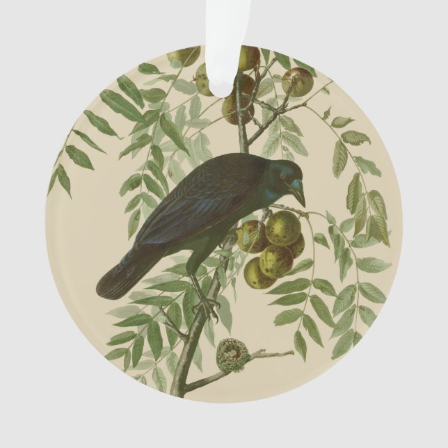 Impression d'oiseau Grackle Violet d'Audubon Botan (devant)