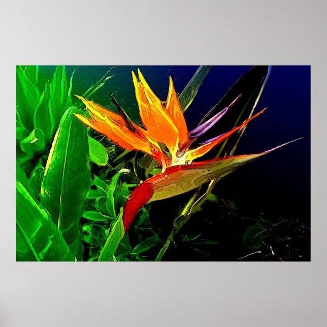 Impression d'oiseaux aquarelle (Devant)