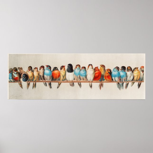 Impression d'oiseaux vintages (Devant)