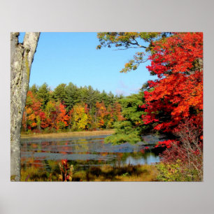 Impression du feuillage d'octobre