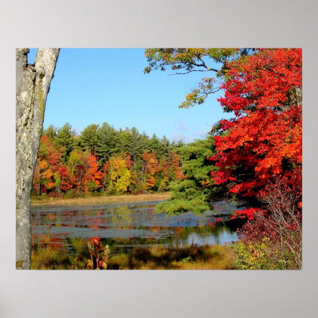 Impression du feuillage d'octobre (Devant)