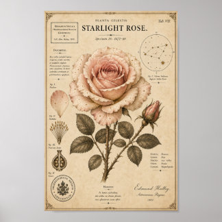 Impression du Musée Botanique Victorien Starlight