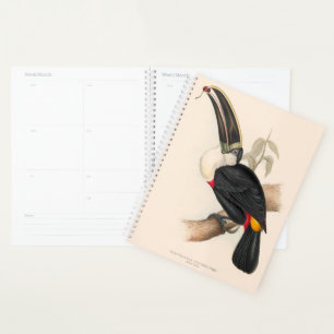 Impression du Toucan de Cuvier : Oiseau Tropical V