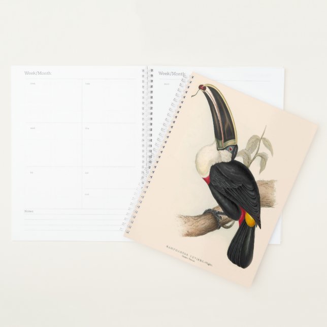 Impression du Toucan de Cuvier : Oiseau Tropical V (Devant avec enveloppe)