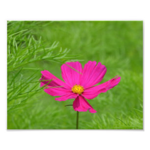 Impression d'une photo de couleur rose