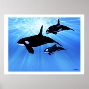 IMPRESSION ECHO LÉGÈRE