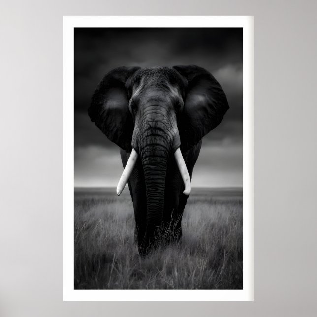 Impression éléphant de safari, noir et blanc, rega (Devant)