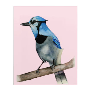 Impression En Acrylique Geai bleu sur la peinture d'aquarelle de branche