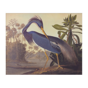 Impression En Acrylique Plaque d'accueil Vintage de Louisiana Heron d'Audu