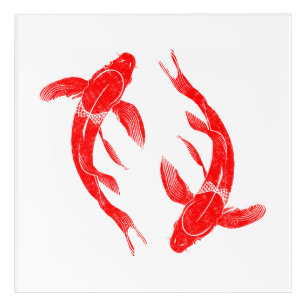 Impression En Acrylique Poisson rouge de Koi