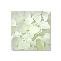 Impression en toile blanche Hydrangea