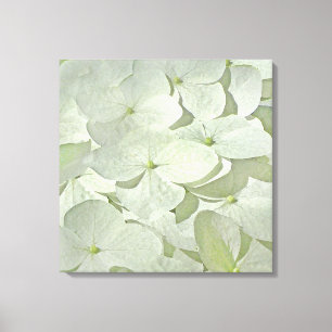 Impression en toile blanche Hydrangea