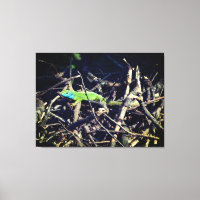 Impression en toile étirée Lizard vert