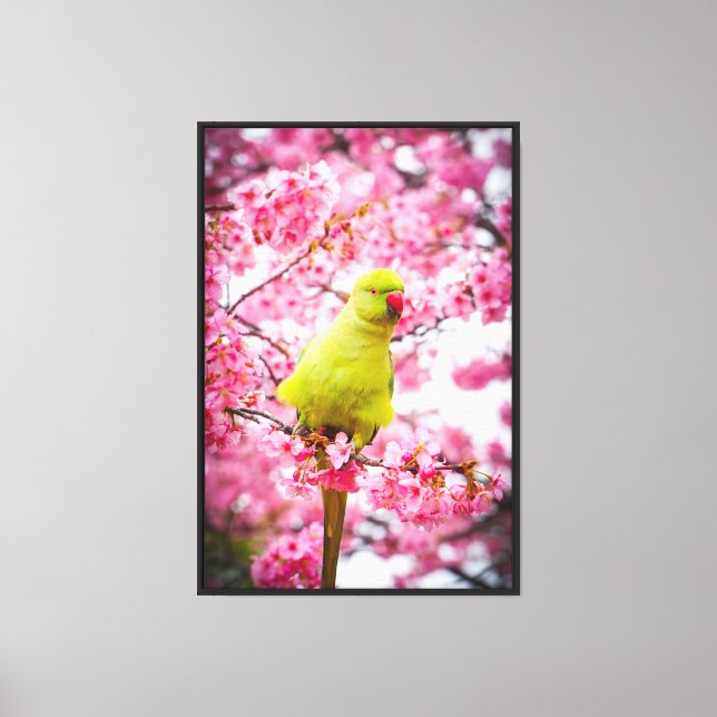Impression en toile étirée - Perruche en fleur de  (Recto)