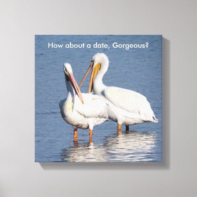 Impression enveloppée de deux pélicans amusants (Recto)