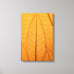 Impression feuille