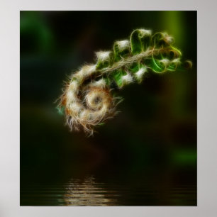 Impression Fiddlehead Fern