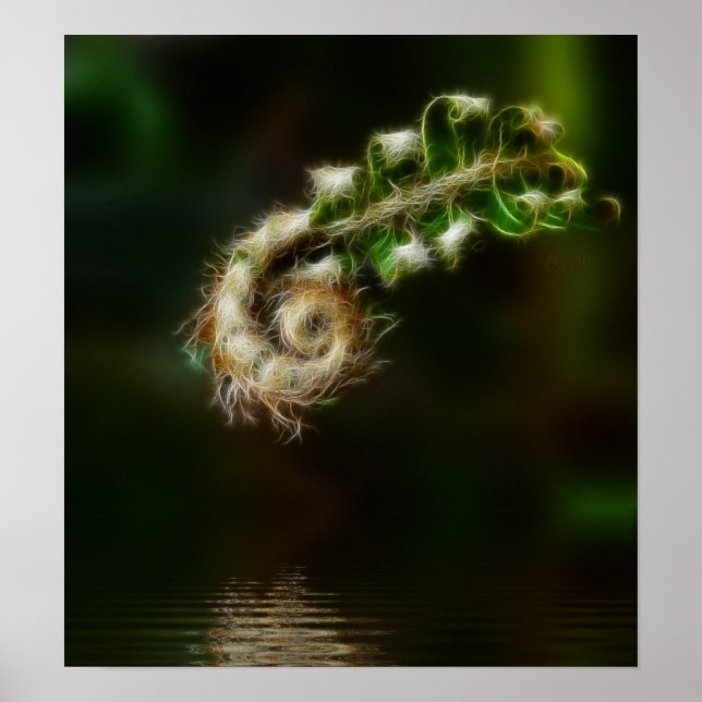 Impression Fiddlehead Fern (Devant)