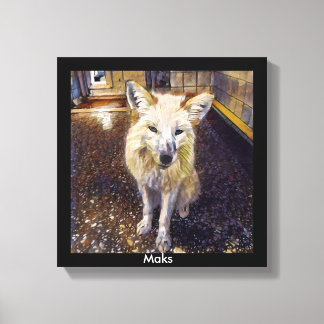 Impression FOx - Maks