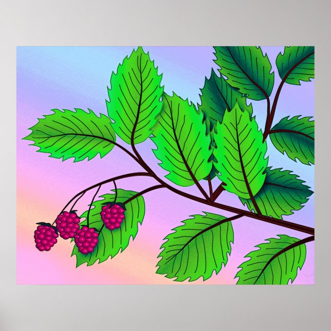 Impression "Framboises sur une succursale" avec bo (Devant)