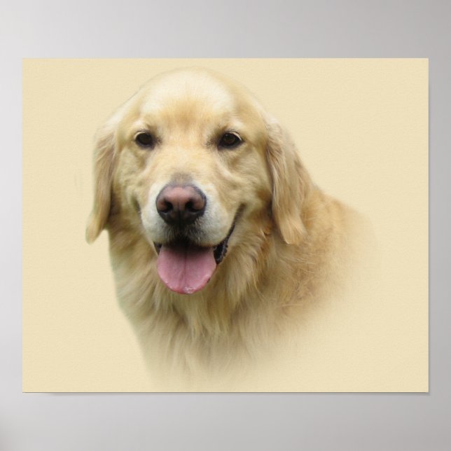 Impression Golden Retriever (Devant)