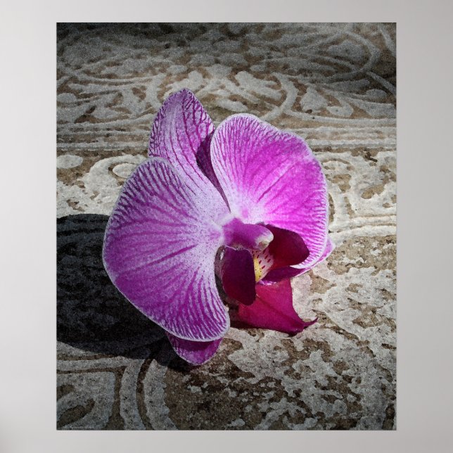 Impression graphique Phalae orchidée -20x24 - ou p (Devant)