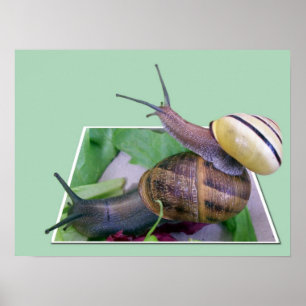 Impression hors limites