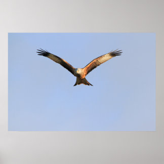 Impression Kite rouge