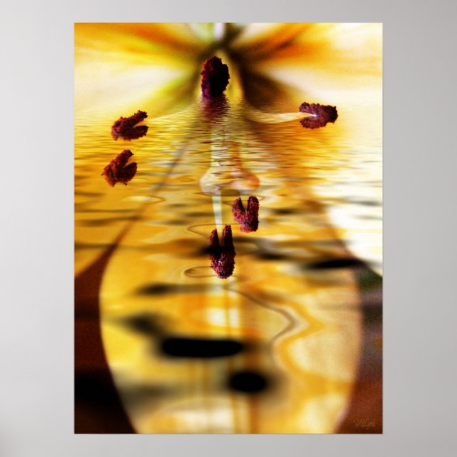 Impression Lillium d'eau (Devant)