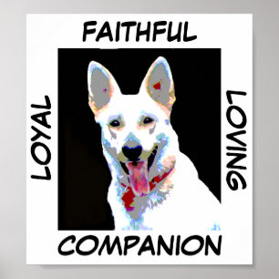 Impression Loyal Companion