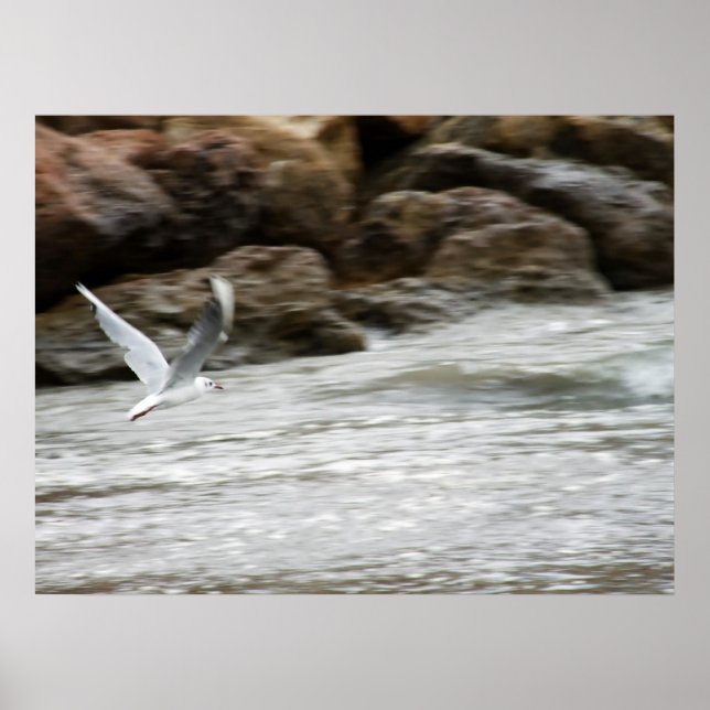 Impression maître éolien (Devant)