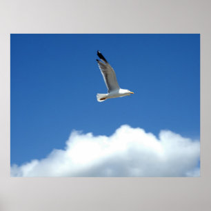 Impression maître éolien