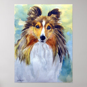 Impression murale Shetland Sheepdog