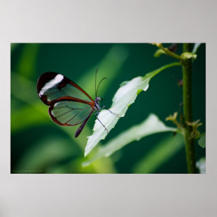 Impression numérique