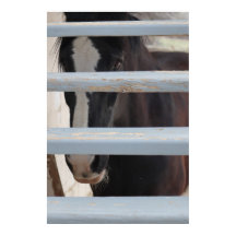 Impression, papier pour affiche de valeur (semi-br