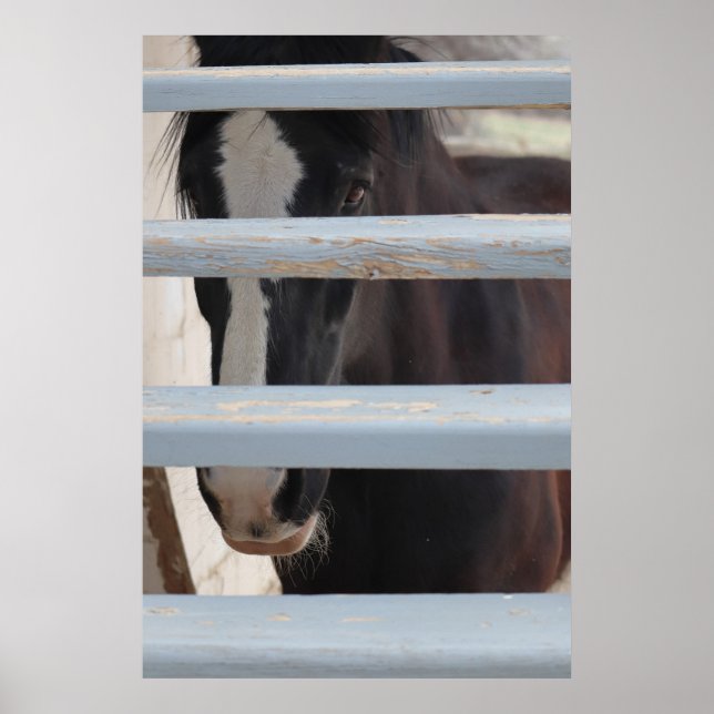 Impression, papier pour affiche de valeur (semi-br (Devant)