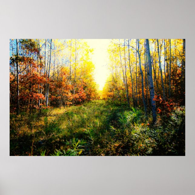 Impression paysagère de couleur brillante (Devant)