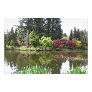 Impression Photo 夏 季 美 丽 的 植 物 , beau jardin botanique