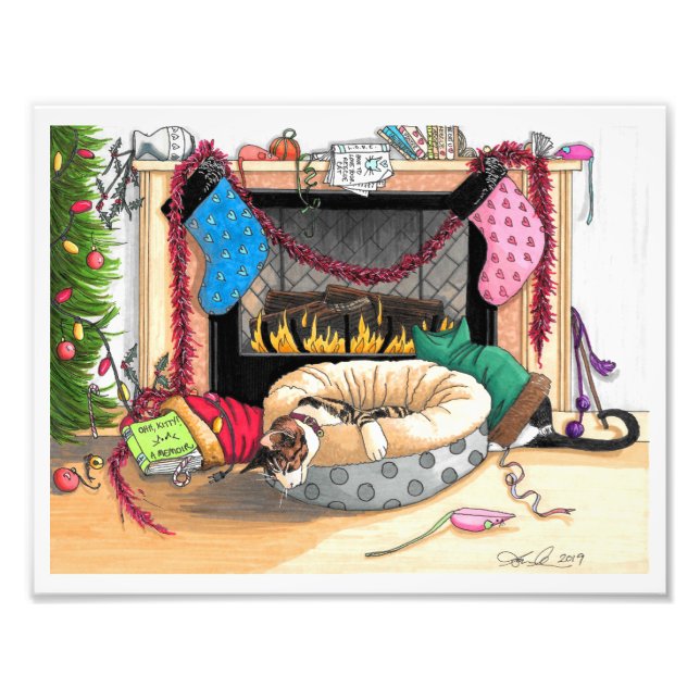 Impression Photo 10 minutes après le réveil des chats, le 25 décemb (Devant)