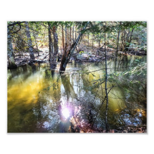 Impression photo 10 po x 8 po    Une Promenade Par