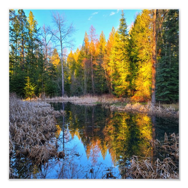Impression photo 12 po x 12 po || Perfect Pond (Devant)