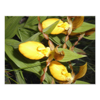 Impression photo 12 x 16